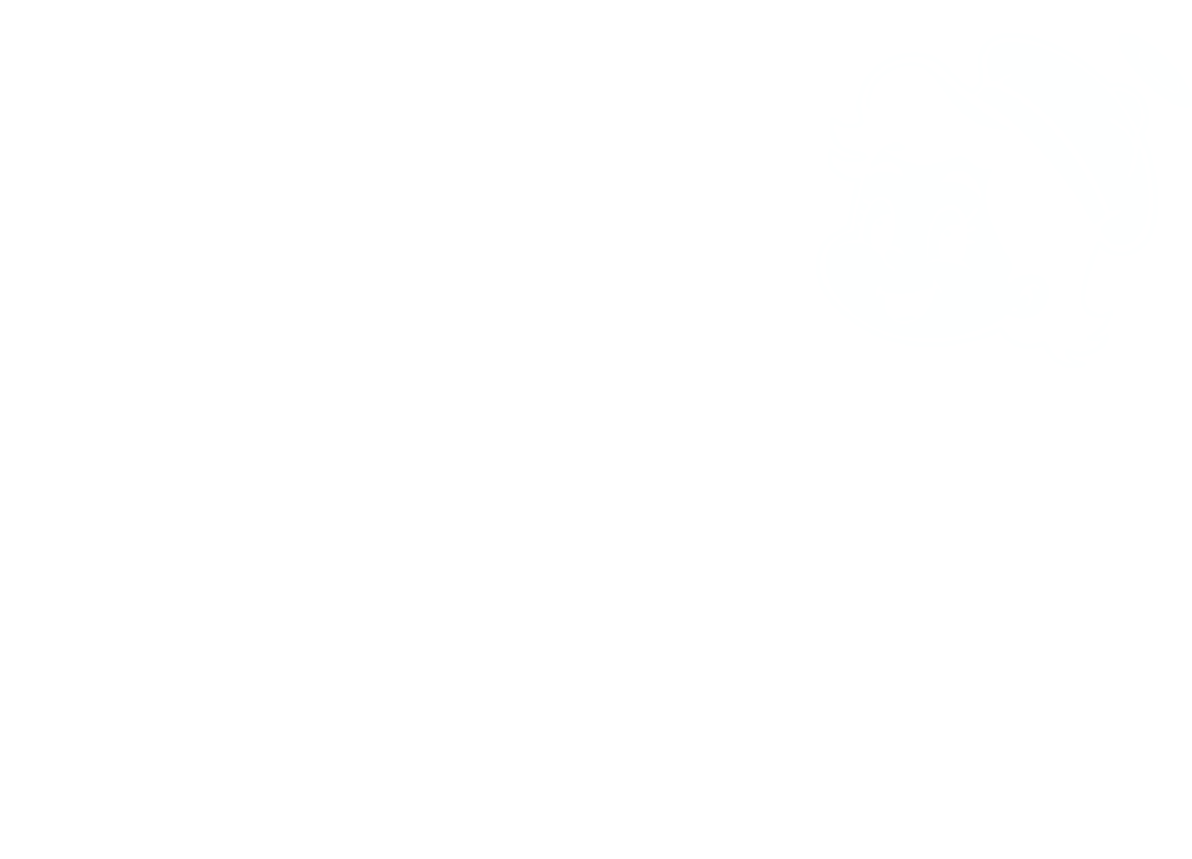 logo_principal_branco_2@1080x.png